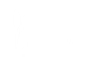 لوگو stdn سایت جوان یادبود